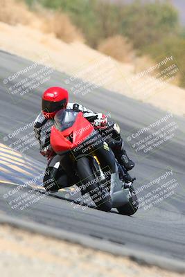 media/Apr-10-2022-SoCal Trackdays (Sun) [[f104b12566]]/Turn 10 (1pm)/